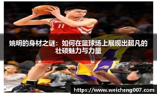 星空·综合体育中国官方网站
